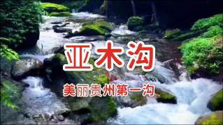 88影视