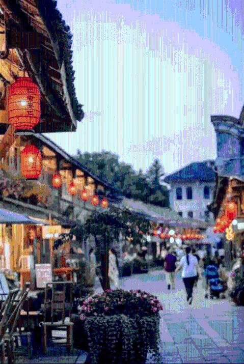 春雨直播app